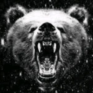 Meet your Posher, Mikhail